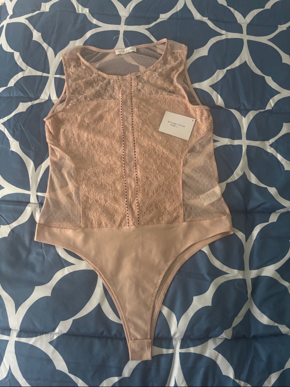 Stella Luce Blush Lace Mesh One-Piece Bodysuit